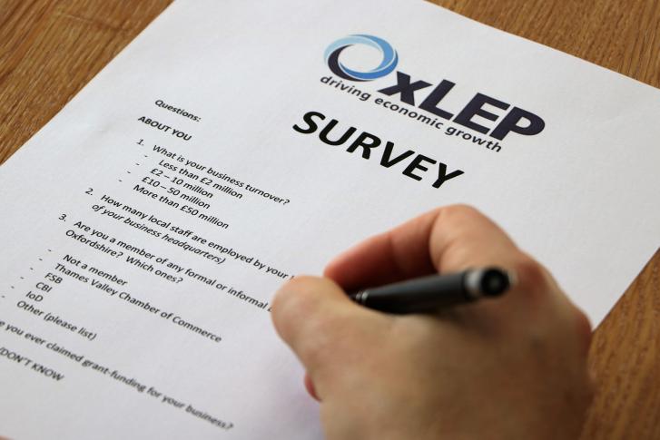 OxLEP asks company directors and business leads for their opinion