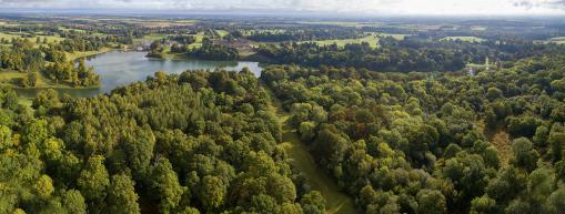 New vision puts nature at the hear of Blenheim Estate