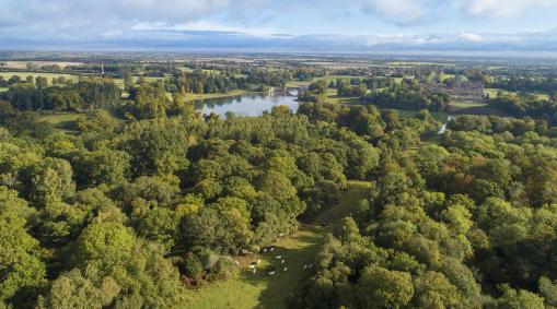 Blenheim Estate completes planting of new flagship woodland